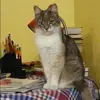 Отзыв от Елизавета Булатова